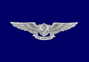 Silver Air Warfare Pennant