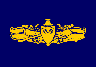 Gold Surface Warfare Pennant