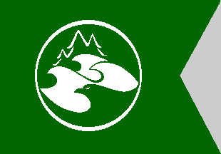 Environmental Award Flag