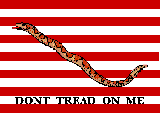 First Navy Jack